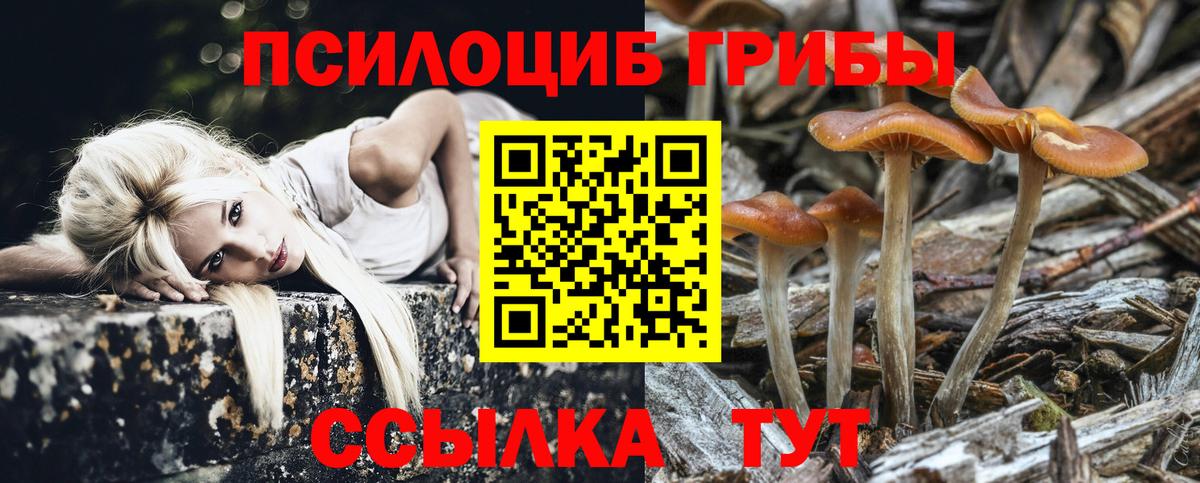 Галлюциногенные грибы ЛСД  Вход с VPN  Лесной 